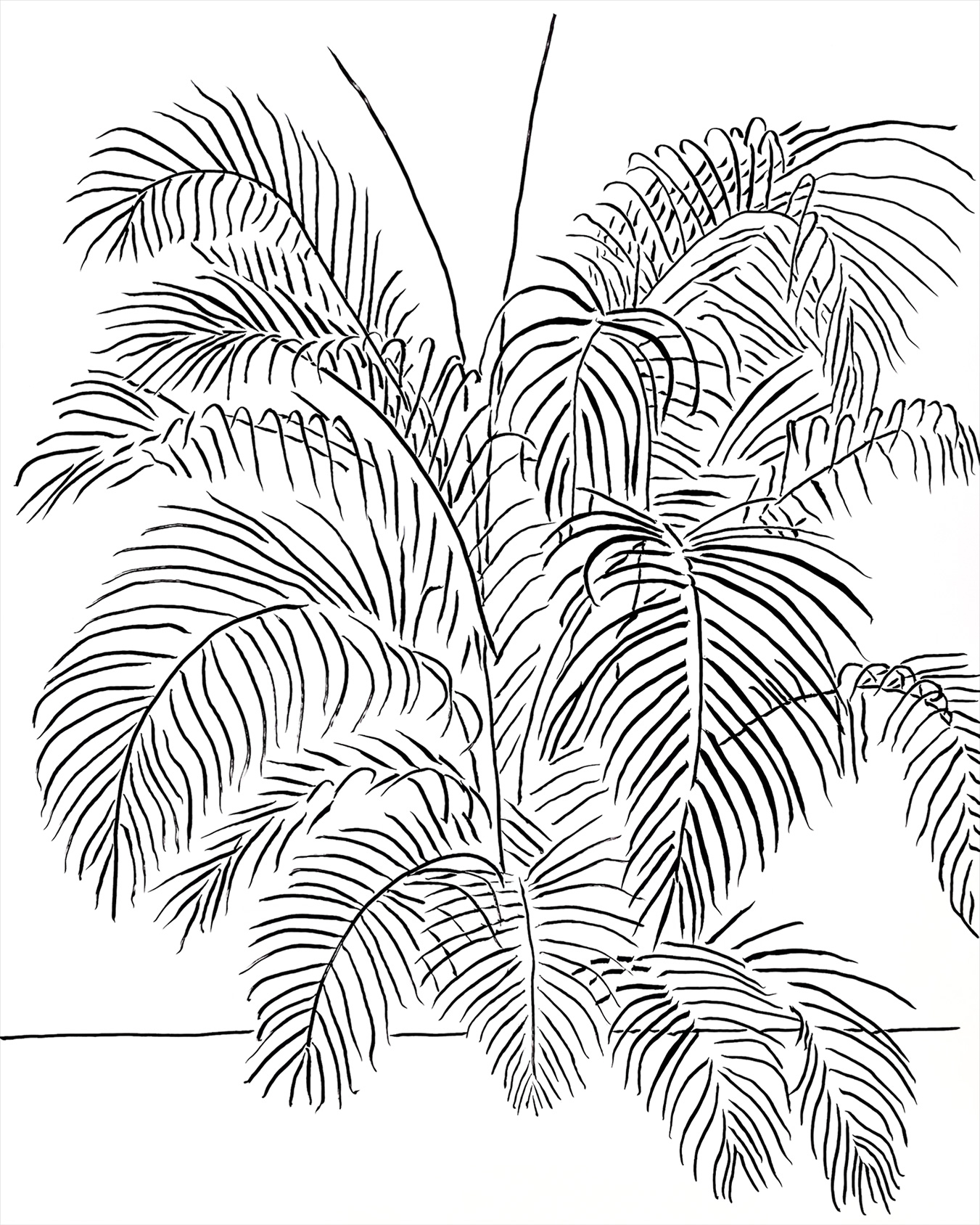 costa-rican-foliage-india-ink-drawing-by-paul-seaholm