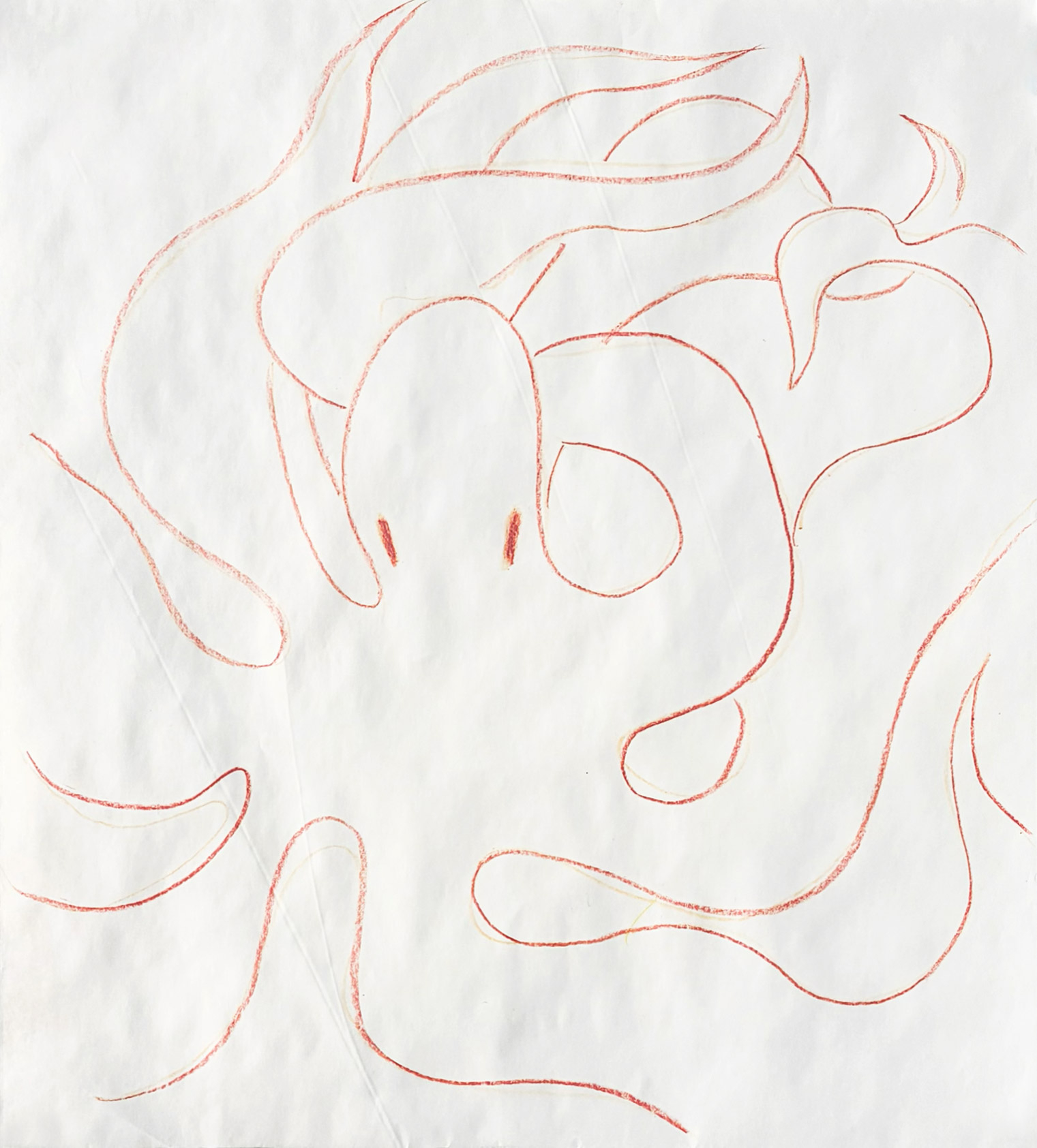 octopus-crayon-butcher-paper-drawing-composition-by-paul-seaholm
