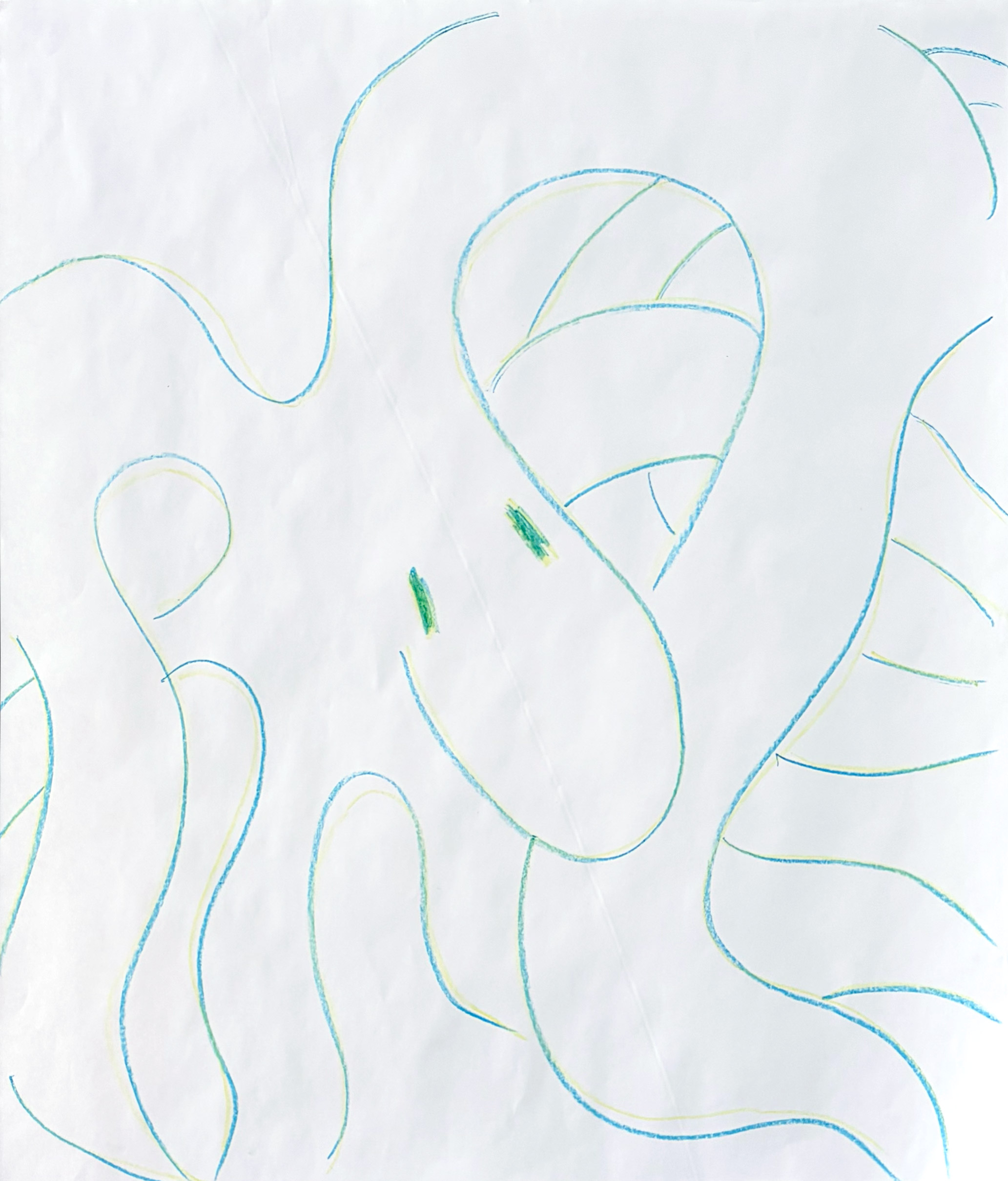 octopus-crayola-line-drawing-by-paul-seaholm